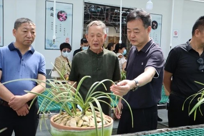 【鄉(xiāng)村振興】紅蓮村里看蘭花，蘭園繁育項目讓村民致富有了新路子！